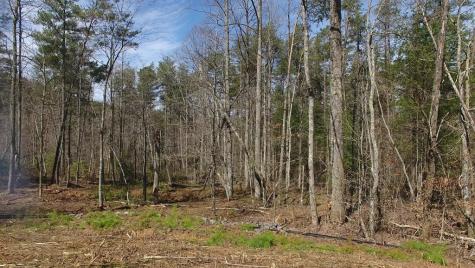 140 Autumn Fern Lane Ellijay GA 30536