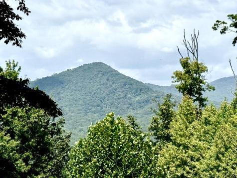 Lot 19 Grand Laurel Brasstown NC 28902