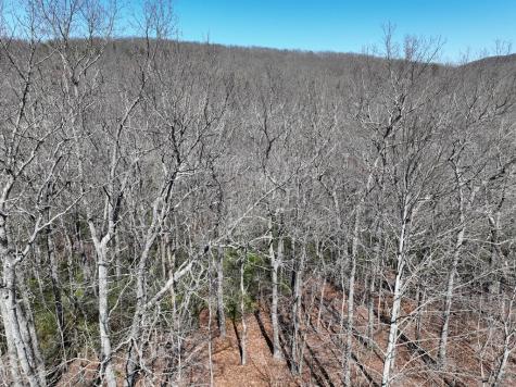 206 Northview Parkway Ellijay GA 30536
