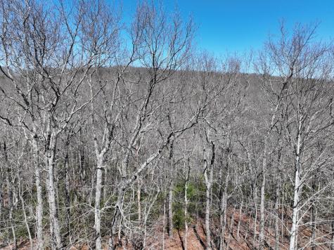 206 Northview Parkway Ellijay GA 30536