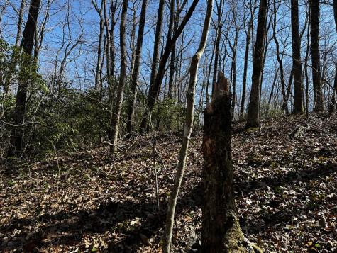 206 Northview Parkway Ellijay GA 30536