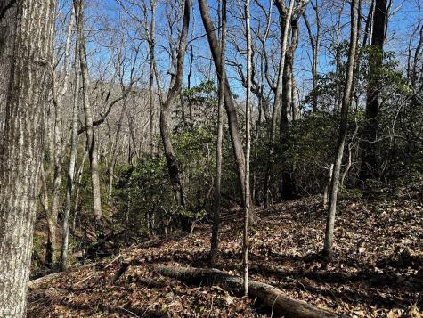 206 Northview Parkway Ellijay GA 30536