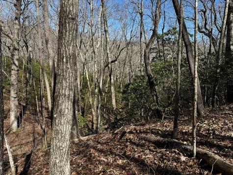 206 Northview Parkway Ellijay GA 30536