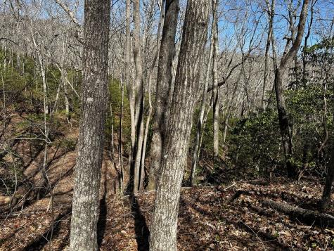 206 Northview Parkway Ellijay GA 30536