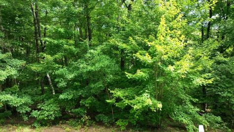 206 Northview Parkway Ellijay GA 30536