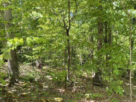 206 Northview Parkway Ellijay GA 30536