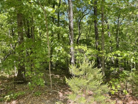 206 Northview Parkway Ellijay GA 30536