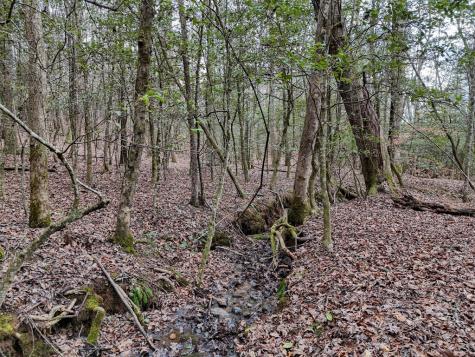 Lt 28/29 New Water Way Blairsville GA 30512