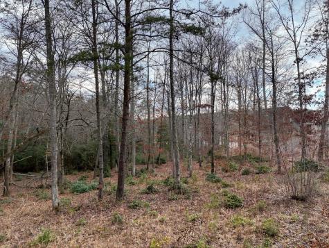 Lt 28/29 New Water Way Blairsville GA 30512