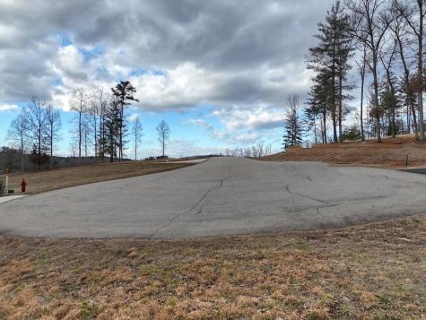 Lt 28/29 New Water Way Blairsville GA 30512