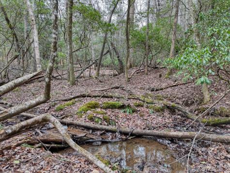 Lt 28/29 New Water Way Blairsville GA 30512