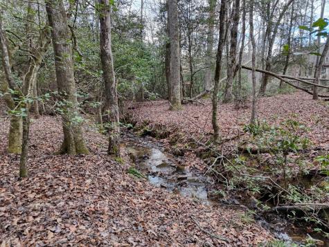Lt 28/29 New Water Way Blairsville GA 30512