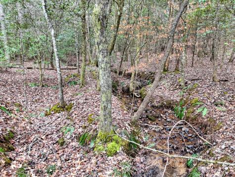 Lt 28/29 New Water Way Blairsville GA 30512