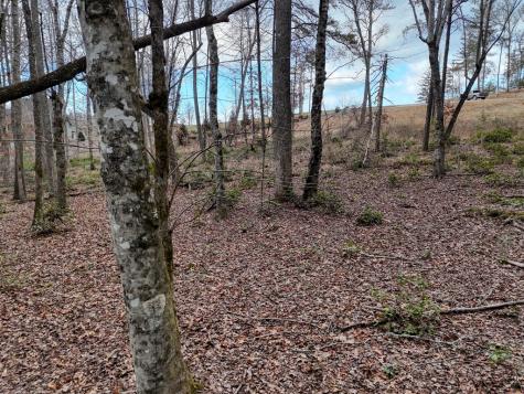 Lt 28/29 New Water Way Blairsville GA 30512