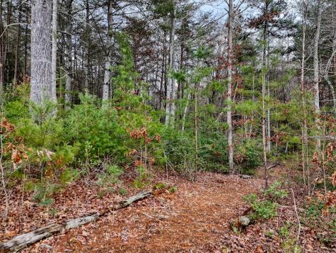 Lt 28/29 New Water Way Blairsville GA 30512