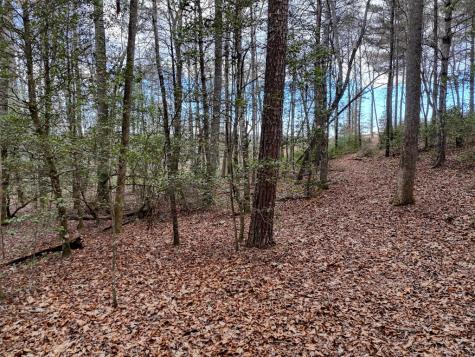 Lt 28/29 New Water Way Blairsville GA 30512