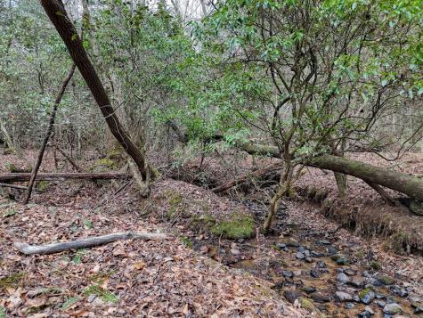 Lt 28/29 New Water Way Blairsville GA 30512