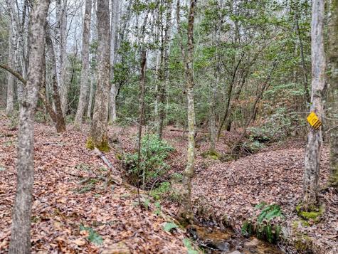 Lt 28/29 New Water Way Blairsville GA 30512