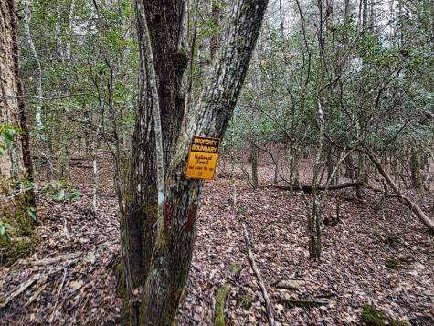 Lt 28/29 New Water Way Blairsville GA 30512