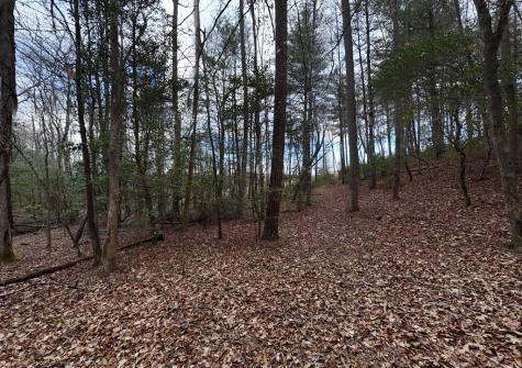 Lt 28/29 New Water Way Blairsville GA 30512