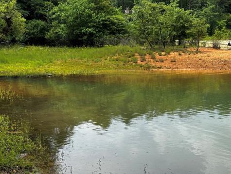 1.79 Ac Nottely Dam Road Blairsville GA 30512
