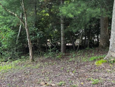1.79 Ac Nottely Dam Road Blairsville GA 30512