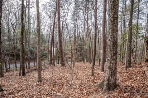 454, 455 Seneca Drive Ellijay GA 30540