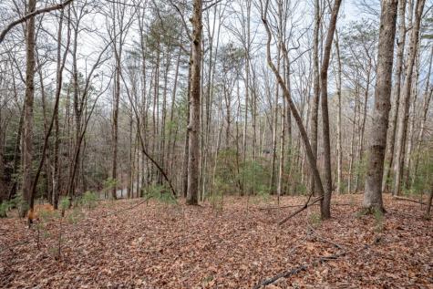 454, 455 Seneca Drive Ellijay GA 30540