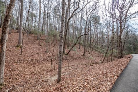 454, 455 Seneca Drive Ellijay GA 30540