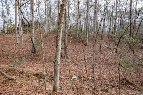 454, 455 Seneca Drive Ellijay GA 30540