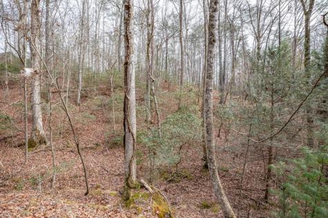 454, 455 Seneca Drive Ellijay GA 30540