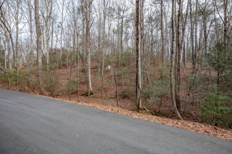 454, 455 Seneca Drive Ellijay GA 30540