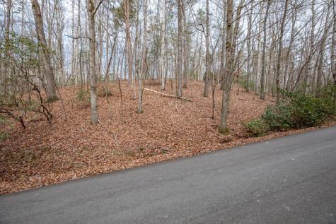 454, 455 Seneca Drive Ellijay GA 30540