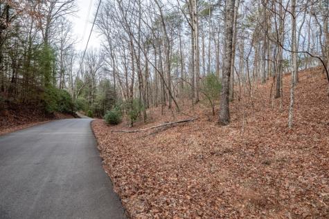 454, 455 Seneca Drive Ellijay GA 30540