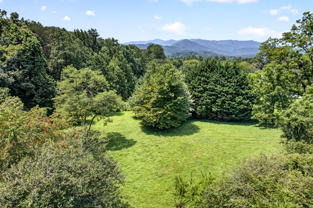 93 Ac. Bocon Lane Hiawassee GA 30546