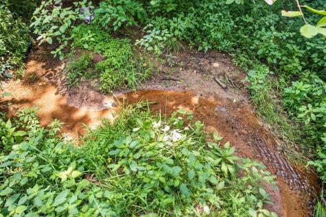 93 Ac. Bocon Lane Hiawassee GA 30546