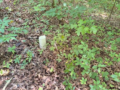 93 Ac. Bocon Lane Hiawassee GA 30546