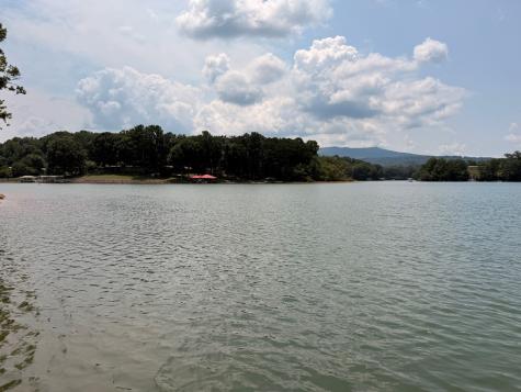 93 Ac. Bocon Lane Hiawassee GA 30546