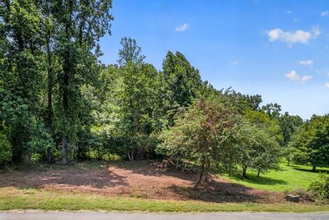 93 Ac. Bocon Lane Hiawassee GA 30546
