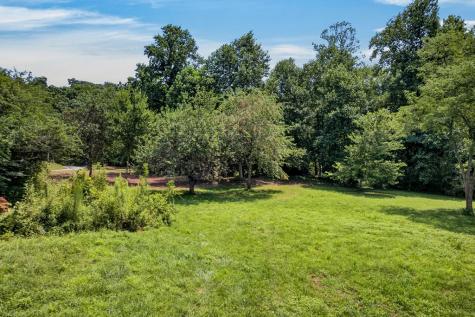 93 Ac. Bocon Lane Hiawassee GA 30546