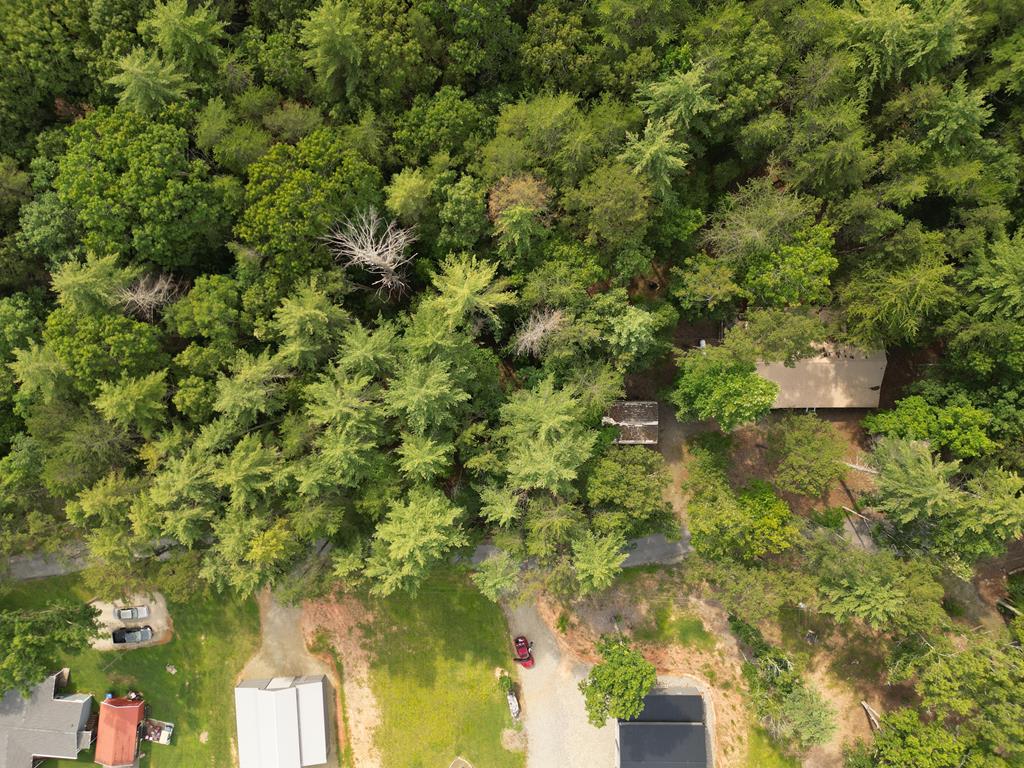 Lot 24 Arrendale Estate Blairsville GA 30512