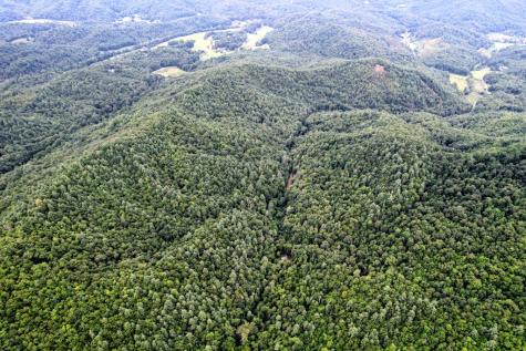 0 Flea Mountain Road Murphy NC 28906