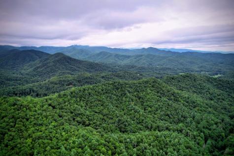 0 Flea Mountain Road Murphy NC 28906