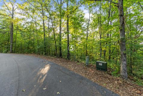 Lot 5 Timber Oaks Drive Turtletown TN 37391