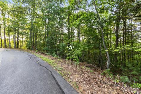 Lot 5 Timber Oaks Drive Turtletown TN 37391
