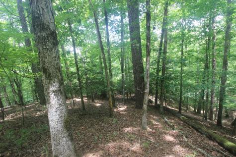 Lt 2628 Garnet Drive Ellijay GA 30540