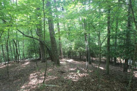 Lt 2628 Garnet Drive Ellijay GA 30540