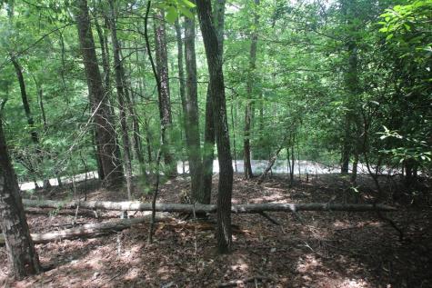 Lt 2628 Garnet Drive Ellijay GA 30540