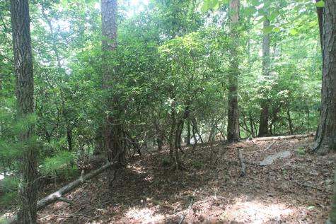 Lt 2628 Garnet Drive Ellijay GA 30540