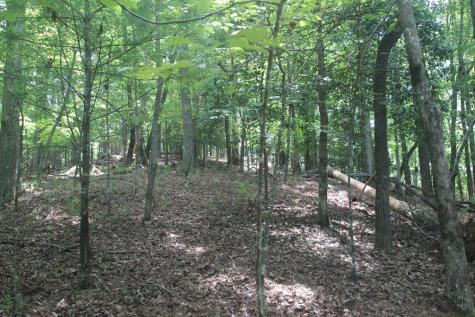 Lt 2628 Garnet Drive Ellijay GA 30540